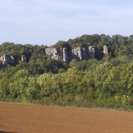 Maison Pour Nombreuses Personnes Pousseaux Esterno foto