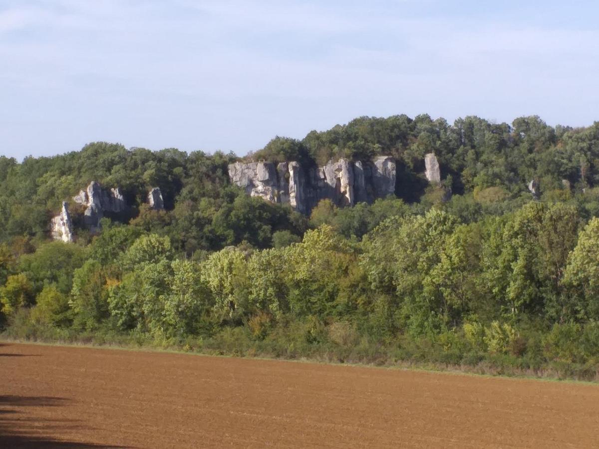 Maison Pour Nombreuses Personnes Pousseaux Esterno foto